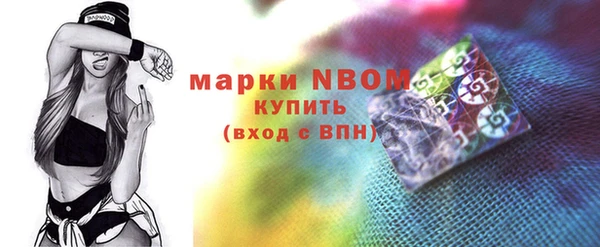 соль ск Бородино